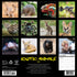 2026 EXOTIC ANIMALS  WALL CALENDAR